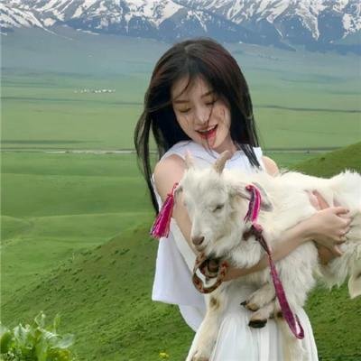 战马一号